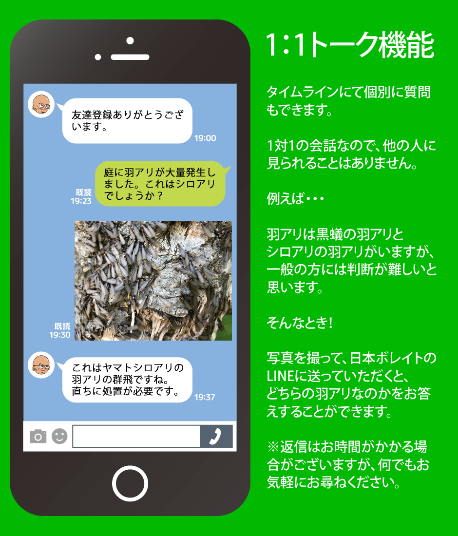 1:1トーク機能の説明。羽アリの写真を送ると種類をお答えします