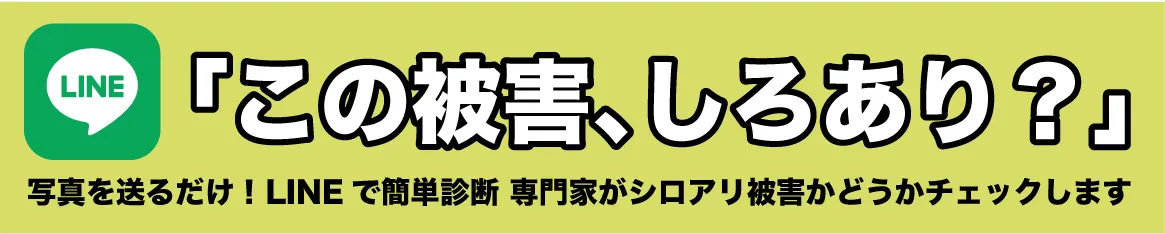LINEでお問い合わせ
