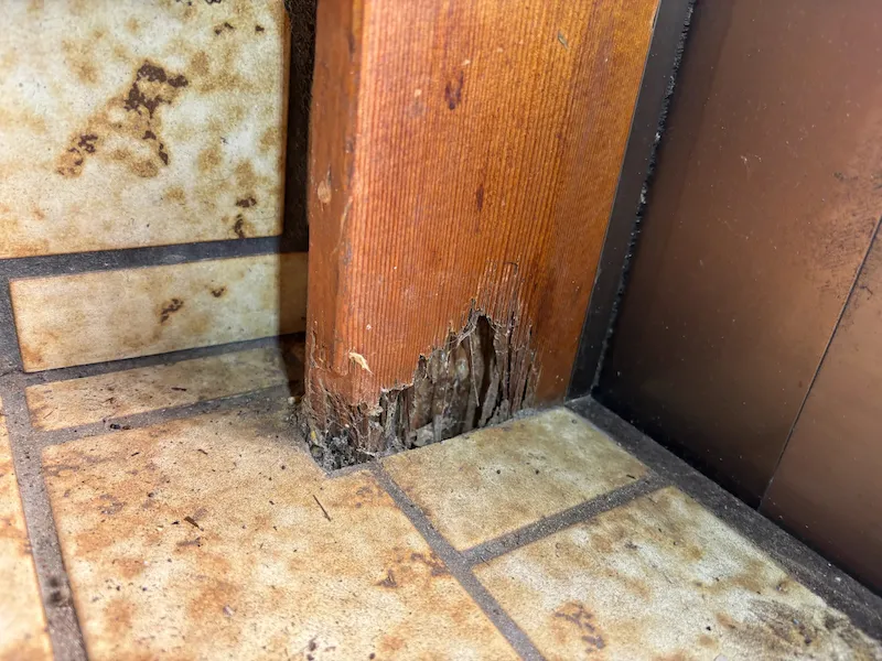 玄関に違和感はないか