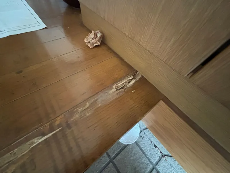 玄関に違和感はないか