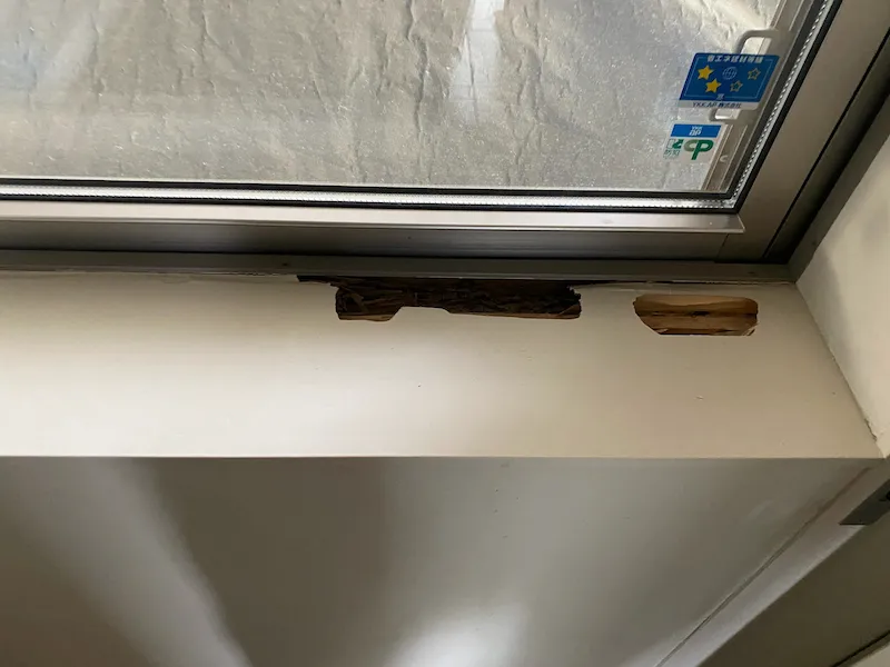 浴室に違和感はないか