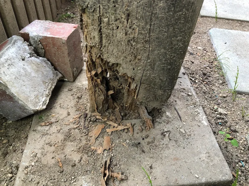 屋外に違和感はないか