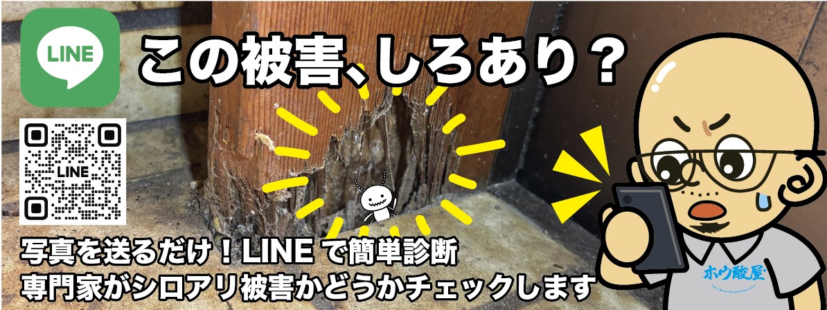 この被害、しろあり？