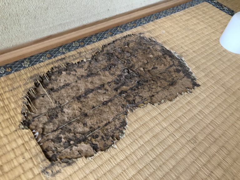 No.009,和室,ヤマトシロアリ,ホウ酸,埼玉県本庄市