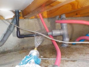 写真3