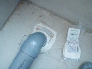 写真1