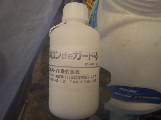 No.1943,既存,被害なし,ホウ酸,東京都小金井市