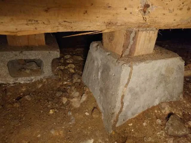 No.2103,床下,ヤマトシロアリ,ホウ酸,京都府京都市