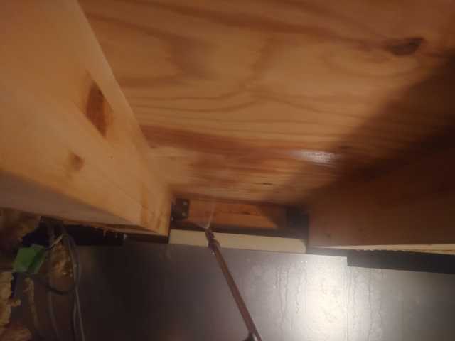 No.2090,既存,被害なし,ホウ酸,大阪府大阪市