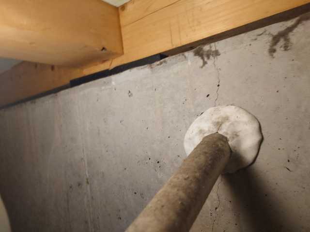 No.2091,既存,被害なし,ホウ酸,京都府京都市