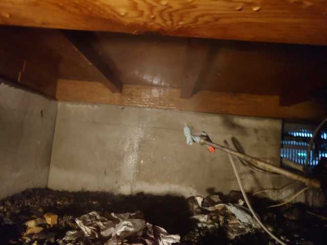 No.2092,既存,被害なし,ホウ酸,京都府京都市