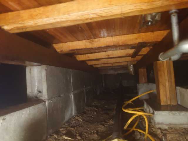 No.2093,既存,被害なし,ホウ酸,兵庫県豊岡市