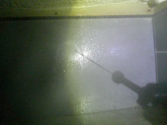 No.2110,既存,被害なし,ホウ酸,大阪府和泉市